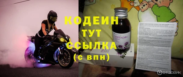 дживик Гусь-Хрустальный