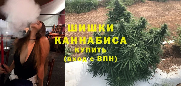 прущая мука Гусиноозёрск