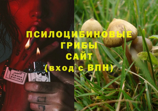 прущая мука Гусиноозёрск