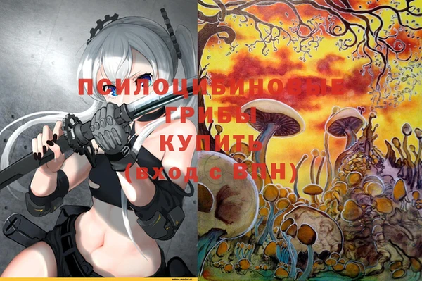 дживик Гусь-Хрустальный