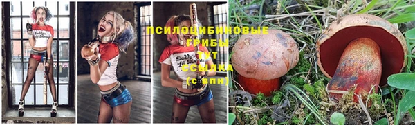прущая мука Гусиноозёрск