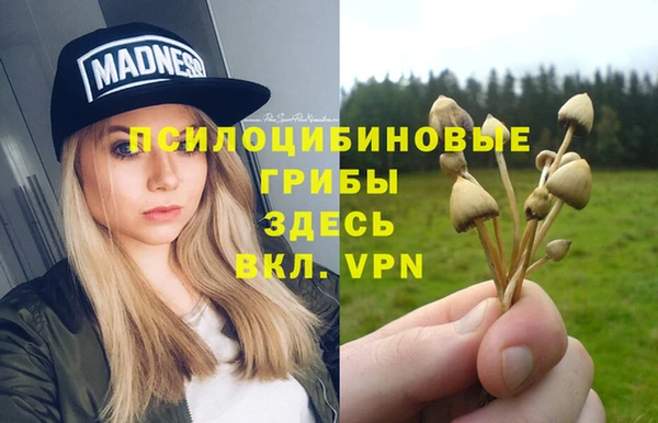 прущая мука Гусиноозёрск