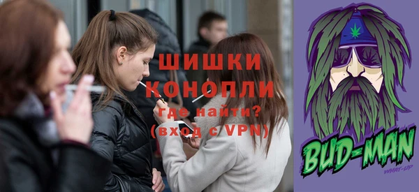 дживик Гусь-Хрустальный