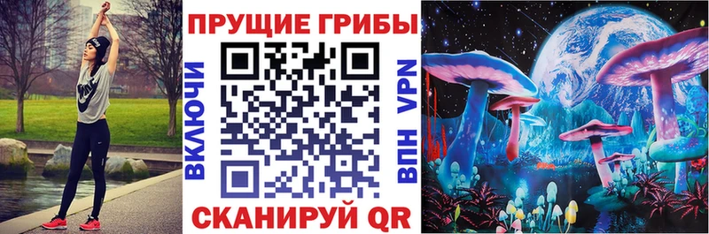 Псилоцибиновые грибы Psilocybine cubensis  Сковородино 