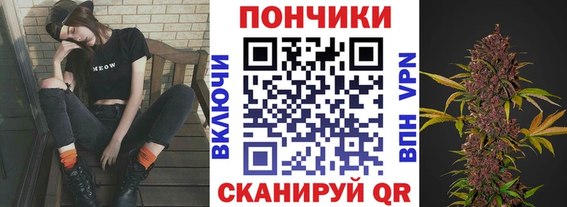 где найти   Сковородино  Канабис конопля 